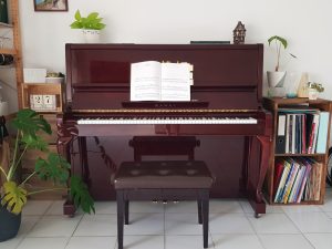 Piano Lessons in River Valley Somerset Singapore